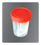 Stool and Urine Container (33121100)