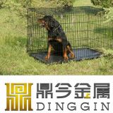 Hot Selling Eassembly Dog Bed