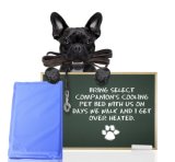 Pet Dogs Puppy Cats Self Cooling Cool Mat Gel Pad Cushion Bed Non-Toxic S M L XL