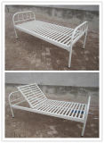 Professional Supplier of Hospital Bed (HB-001)