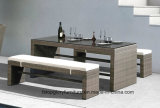 Outdoor Furniture Sale Rattan Furniture Dining Casual Sets (TG-JW64)