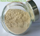 Made-in-China Best Sale Apple Pectin Powder