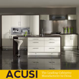 High Quality Modern Design Lacquer Kitchen Cabinet (ACS2-L117)