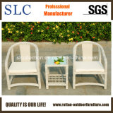 Hot Sale Outdoor Synthetic Wicker Rattan Furniture (SC-B8958)