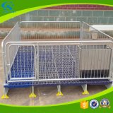 Dose Not Rust Pig Farming Galvanized Conservation Field Nursery Bed