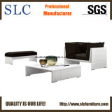 Wicker Sofa Set / Garden Sofa/ Garden Furniture (SC-B5061)