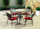 Outdoor /Rattan / Garden / Patio/ Hotel Furniture Cast Aluminum Chair & Table Set (HS 3179C&HS6117DT)