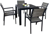 Wholesale Modern Polywood Outdoor Dining Set (PWC-352)