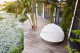 New Design 360 Swivel Sun Lounge Wicker Outdoor Furniture