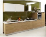 Made in China Modern Wooden Kitchen Cabinet for Home (Kit-19)