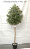 Olive Artificial Tree Potted for Home Decoration (45851)