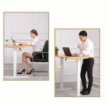 Office Electric Lifting Standing Desk/Height Adjustable Desk (BGLD-04)