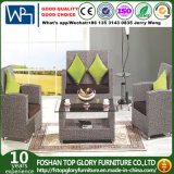 Modern Outdoor Rattan/Wicker Sofa Leisure Garden Furniture (TG-199)