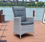Aluminum Half Round Wicker Home Hotel Office Outdoor Pario Chair (J7281HR)
