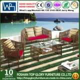 Modern Outdoor Furniture Leisure Garden Sofa (TG-007)