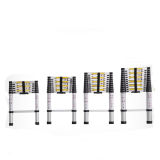Multi-Function Telescopic Ladder with 6 Steps