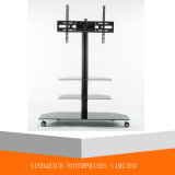 Mobile TV Stand with Brake Wheel