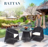 Hot Sales Factory Rattan /Wicker Table Chair Set / Outdoor Leisure Furniture Coffee Shop Table Chair Set (Z315)