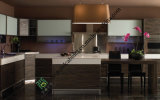 Paint and Melamine Mix Design Modern Kitchen Cabinet (ZS-399)
