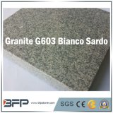 Polished/Flamed Floor Tile Stair Grey Granite Stone for Projects