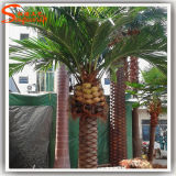 Latest Style Garden Decoration Fake Artificial Date Palm Tree