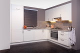 Kitchen Furniture Euro Style Kitchen Cabinet (GLOE100)