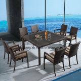 Popular Style Outdoor Cheap Price Garden Furniture Dining Set by 8-10person (YTA362-1&YTD020-3)