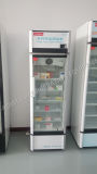 -18~-23 Celsuis Single Glass Door Freezer, Commercial Upright Freezer