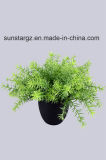 PE Asparagus Artificial Plant Potted for Home Decoration (50457)