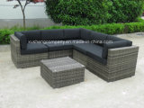 Steel Rattan Table Sofa Set