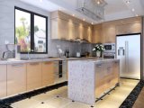 Stainless Steel Kitchen Cabinets for Waterproof Kitchen Furniture (BR-SP007)