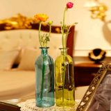 Free Sample Colorful Glass Bottle Flower Vase for Decoration