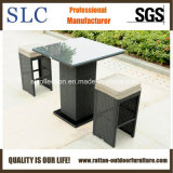 Modern Bar Furniture/Compact Bar Furniture/Bar Furniture (SC-A7414)