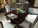 Restaurant Sofa and Table/Restaurant Furniture Sets/Hotel Furniture/Dining Room Furniture Sets/Dining Sets (NCHST-007)
