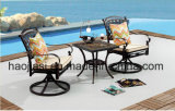 Outdoor /Rattan / Garden / Patio / Hotel Furniture Cast Aluminum Chair & Table Set (HS3190RC &HS 7060ET)