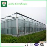 Xinhe - High Quality Glass Green House Design
