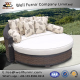 Well Furnir Wf-17073 Daybed with Cushions
