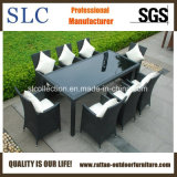 Wicker Furniture/Wicker Dining Set/Rattan Chair (SC-B8849-B)