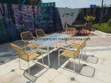 Steel 7PCS Moder Furniture Set by Table+Chairs