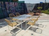 Steel 7PCS Moder Furniture Set by Table+Chairs