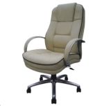Leather Chair Office Chair (FEC1071)