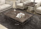 Marble Top Coffee Table Living Room Furniture (CJ-129A CJ-129D)