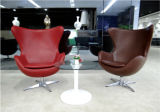 Elegant Office or Lobby or Lounge Area Leather Sofa (PS-015)