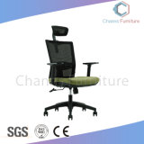 Green Color Office Furniture High Back Mesh Office Chair (CAS-EC1863)