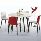 ABS Plastic European Beech Wood Leg Cafeteria Buffet Chair (SP-UC023)
