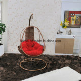 Swing Hanging Chair for Indoor and Outdoor