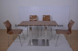 Food Court Market Ss Leg Cafe Table with Chairs (FOH-NCP15-8)