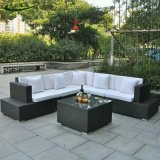 Wholesale Garden Outdoor Rattan / Wicker Furniture of Sofa Set S225