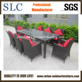 Good Quality Garden Furniture Rattan (SC-B8849-BB)