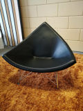 Modern Design Fiber Glass Leisure Chair (EC-018)